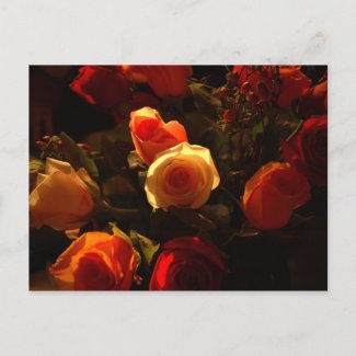 Roses I - Orange, Red and Gold Glory postcard