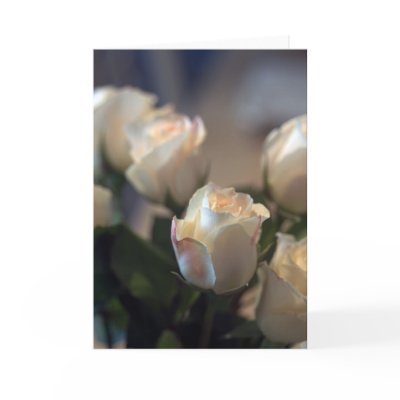 Roses II Greeting Cards by nighty