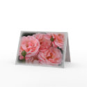 Roses in bloom cards by Lots_Of_Kissesl Roses in bloom cards
