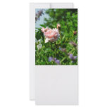 Roses in the Garden Full Color Rack Card