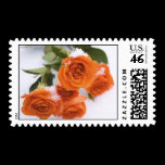 Roses in the Snow Stamp stamps