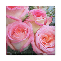 Roses magnets by princessklb07 Roses magnets