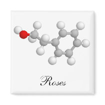 Roses magnets