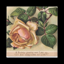 Roses magnets