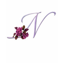 Roses Monogram N t-shirts