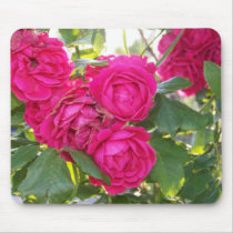 roses mousepads by mark59956 roses mousepads