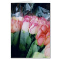 Roses - NYC Flower Shop cards
