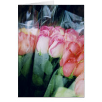 Roses - NYC Flower Shop cards by christellewiggins Roses - NYC Flower Shop cards