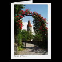 Roses of Thun cards