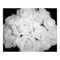 Roses on Canvas posters