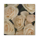 Roses On the Fridge magnets