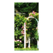 Roses On Trellis Customized Photo Card
