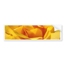 ROSES Orange Rose Flowers 1 Cards Gifts Mugs bumper stickers