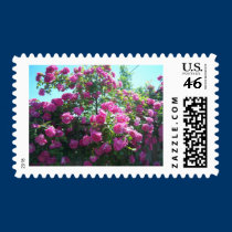 Roses postage
