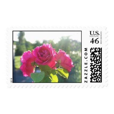 roses stamp by mark59956
