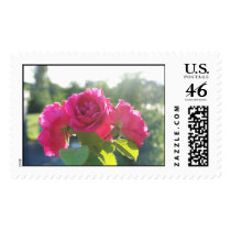 roses postage by mark59956 roses postage
