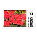 roses postage