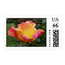 Roses stamps