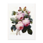 Roses Postcard