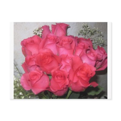 ROSES POSTCARDS