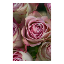 Roses Poster posters by FloralPalette Roses Poster posters
