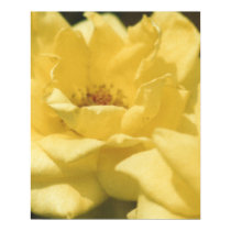 Roses Poster