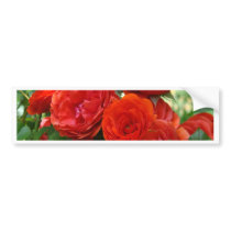 ROSES Red Rose Flowers 2 Cards Gifts Mugs Bumper Stickers