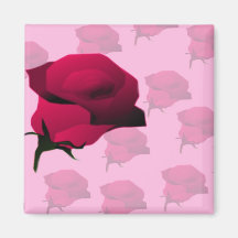 Roses Röschen Refrigerator Magnet