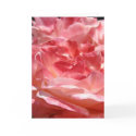 ROSES ROSE FLOWERS 3 GREETING CARDS NOTE CARD by Basleeartprintgifts ROSES ROSE FLOWERS 3 GREETING CARDS NOTE CARD