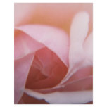 Roses Roses Roses Personalized Flyer