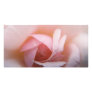 Roses Roses Roses Photo Card