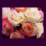 Roses roses roses