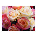 Roses roses roses posters