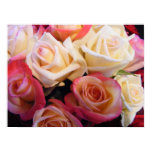 Roses roses roses