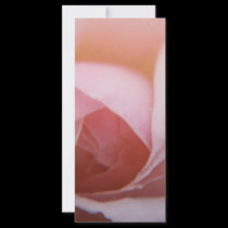 Roses Roses Roses rack cards