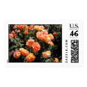 Roses Stamp