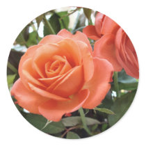 Roses Stickers