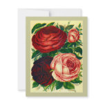 ROSES WEDDING SAVE THE DATE NOTE EZ2 CUSTOMIZE INVITES
