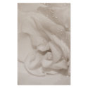 roseTEYoung stationery