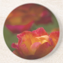 Rosey Coaster coasters