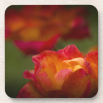 Rosey Cork Coaster cork coasters