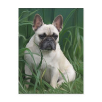 Rosey in the grass postcards by Cazzies_Creations Rosey in the grass postcards