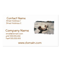 Rosh HaShanah Business Cards