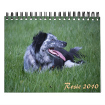 Rosie 2010 calendars