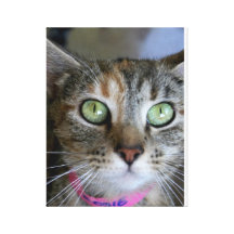 Rosie Impresiones En Lona Estiradas