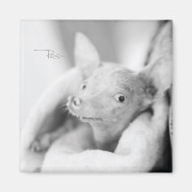 Rosie Photo Magnet