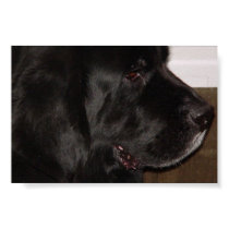 rosie side posters by brangwen rosie side posters