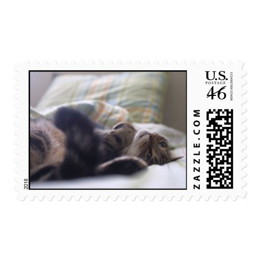 rosie stamp