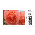 Rosie Weddings postage