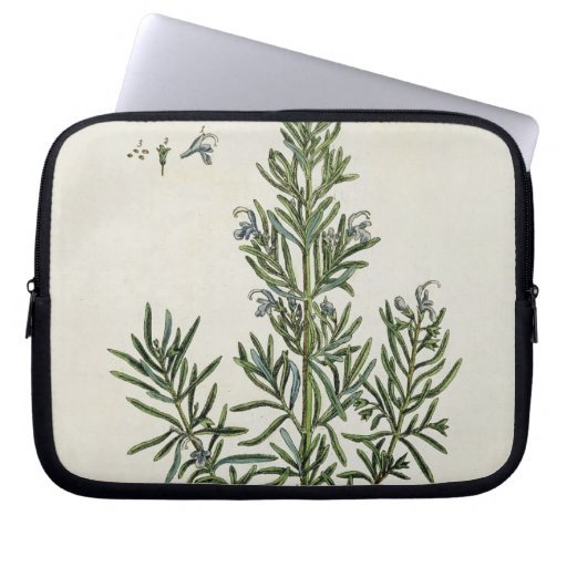 Rosmarinus Officinalis, from 'A Curious Herbal', 1 Laptop Sleeve